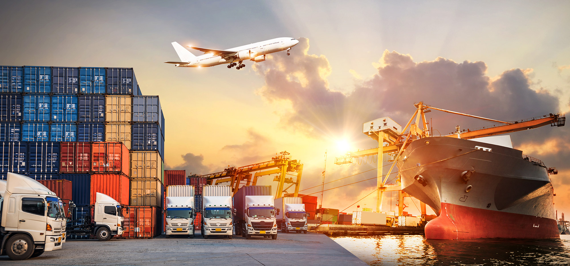 Freight Forwarder & Importer of Niche FMPG