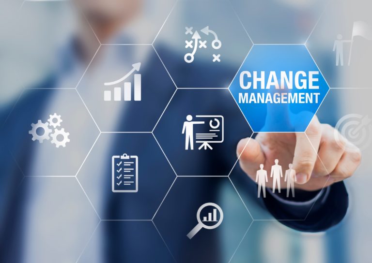 IT Change Management Consultancy