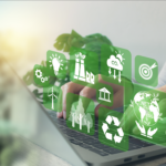 Environmental Consultancy