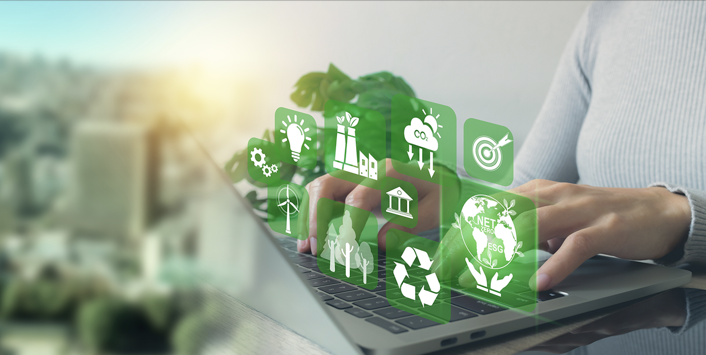 Environmental Consultancy